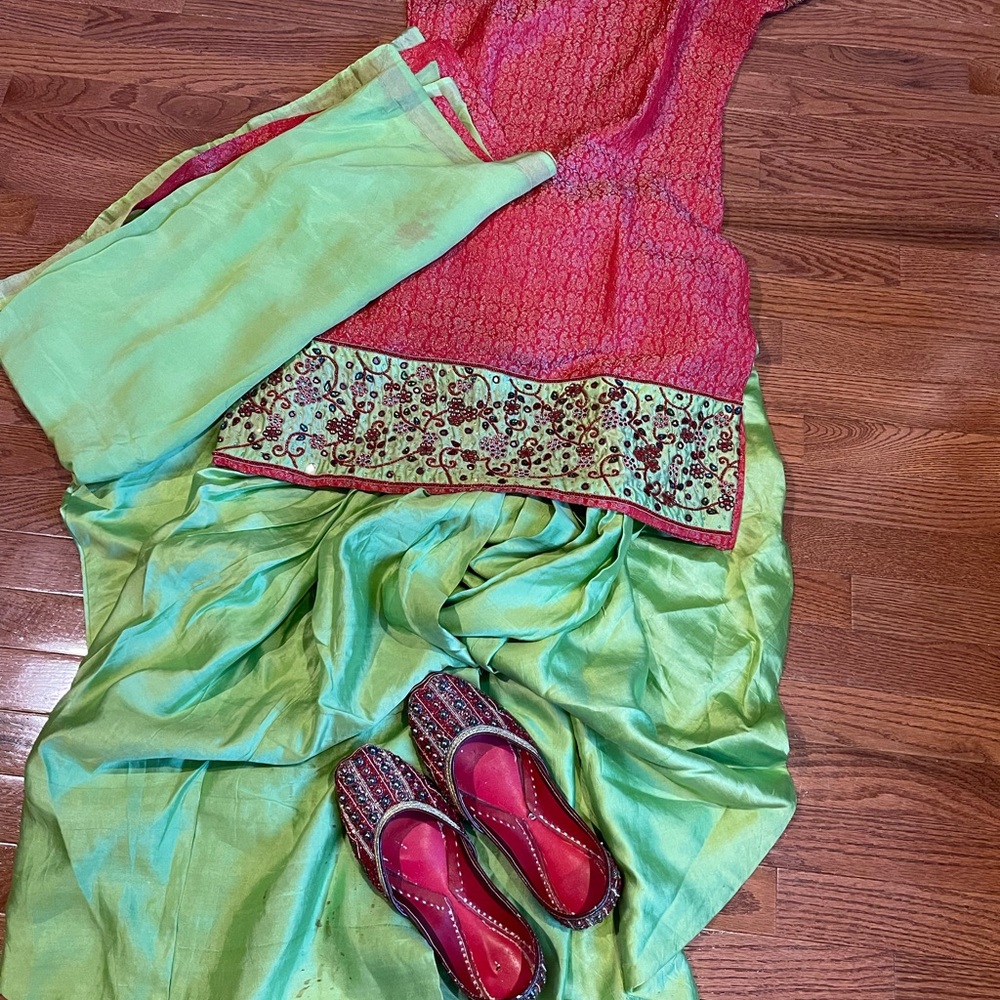 Beautiful Indian/Pakistani outfit